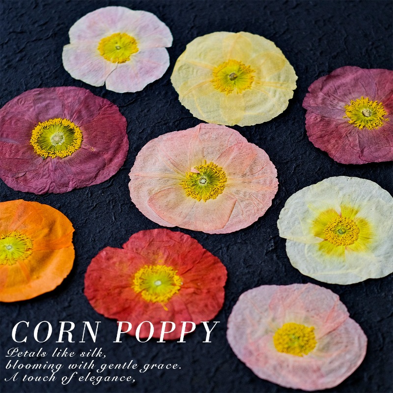 1pcs,Nature Field Poppy Presse – обзор и цена Resin Art Workshop