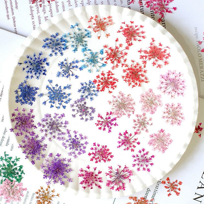 24pcs,2-2.5cm,nature Dyed Mini – обзор и цена Resin Art Workshop
