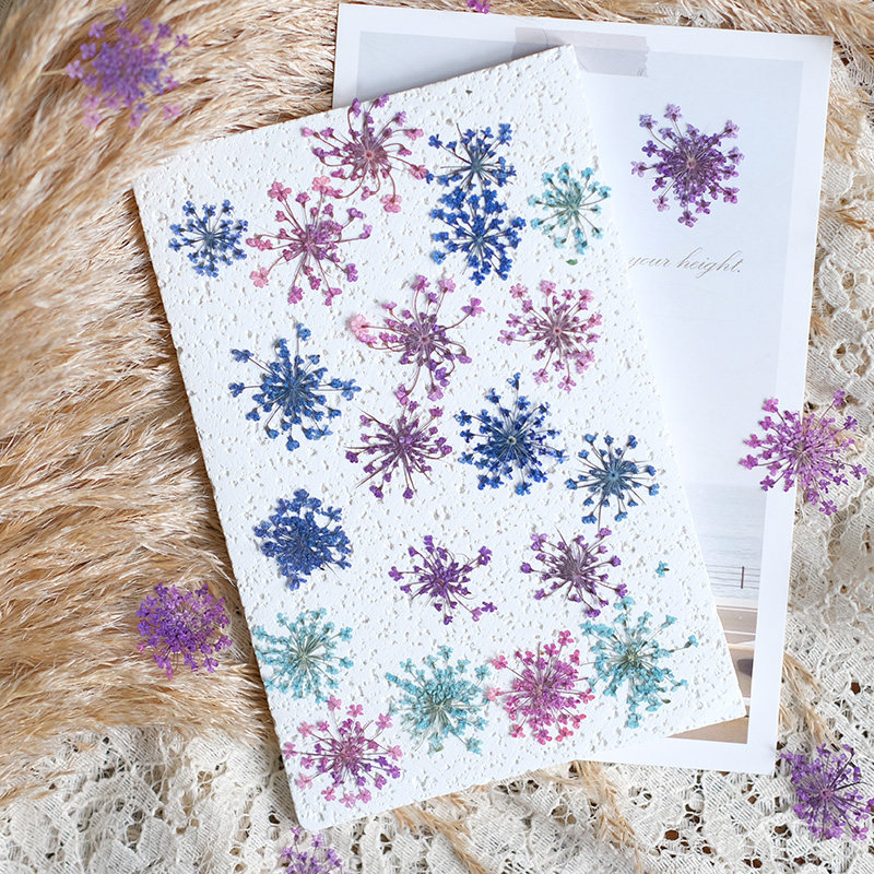 24pcs,2-2.5cm,nature Dyed Mini – обзор и цена Resin Art Workshop